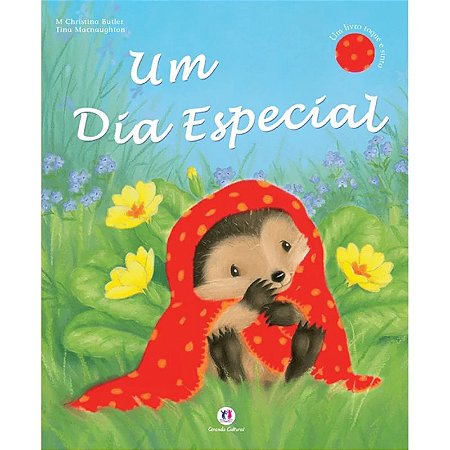 Livro Literatura Infantil - Um Dia Especial - Editora Ciranda Cultural