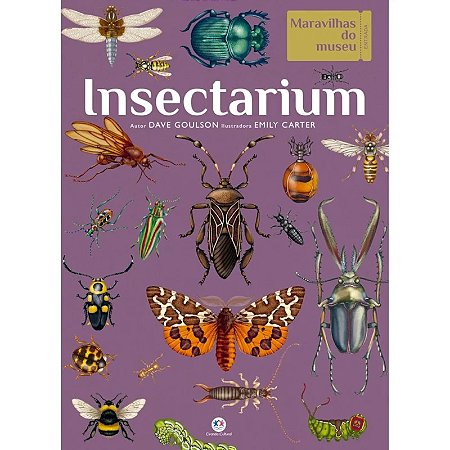 Livro Maravilhas do Museu: Insectarium - Editora Ciranda Cultural