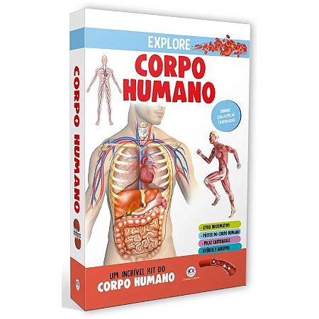 Livro Explore: Corpo Humano - Editora Ciranda Cultural