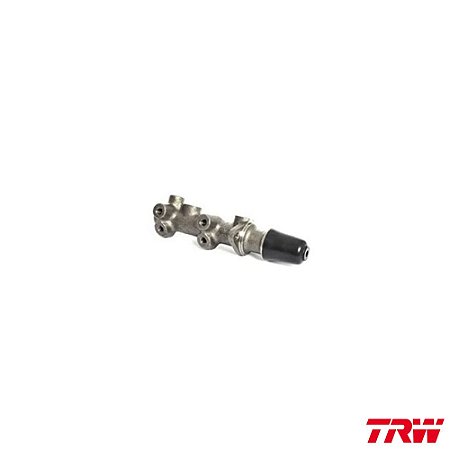 Cilindro Mestre Duplo - Trw - Rccd24061