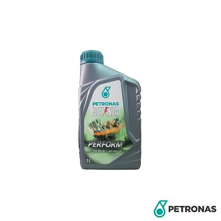 Oleo De Motor 5w30 Selenia Sintetico 1 Litro - Petronas