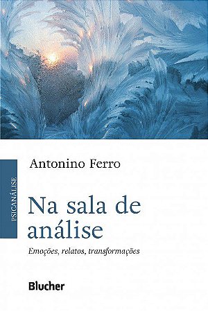 Na Sala de Analise - Emocoes, Relatos, Transformacoes