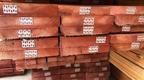 Prancha Eucalipto Ecograndis 5x25cm