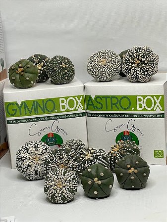 COMBO GYMNO.BOX e ASTRO.BOX + BRINDE