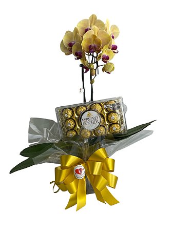 Orquídea Phaleanopolis com Ferrero Rocher