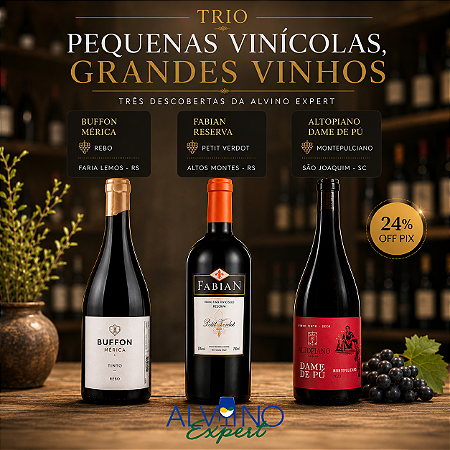 Kit Trio Pequenas Vinícolas, Grandes Vinhos