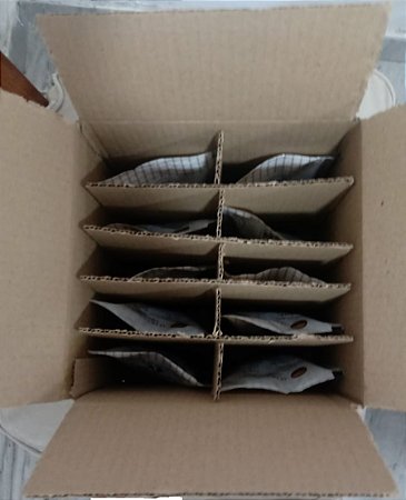 CAIXA com 10 pacotes de Alho Negro 100g - Stand Up Pouch - TOTAL 1 KG