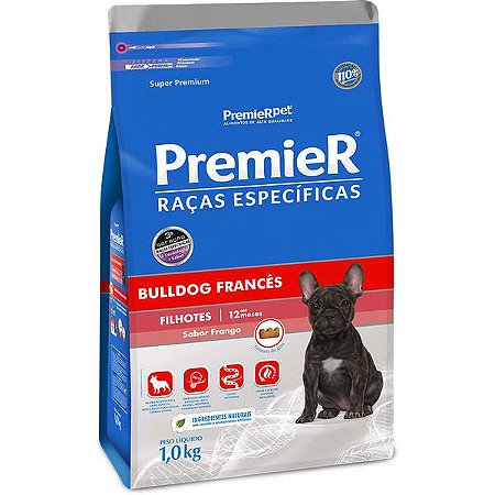 Premier Bulldog Francês Filhotes