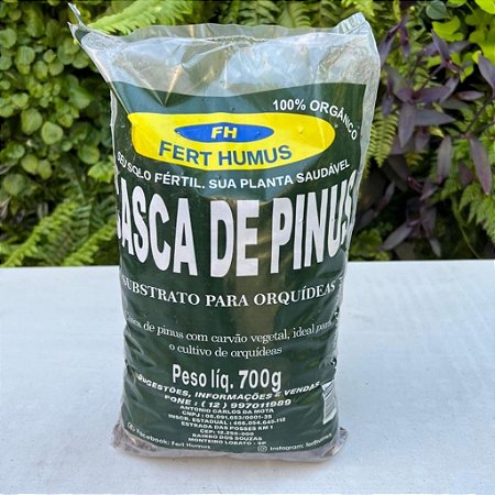 Casca de Pinus