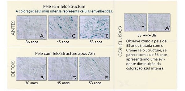 Creme Rejuvenescedor Telo Structure Age Reverse  40ml - Anna Pegova