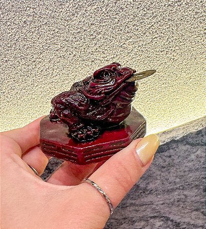 Sapo da Fortuna - Kaeru