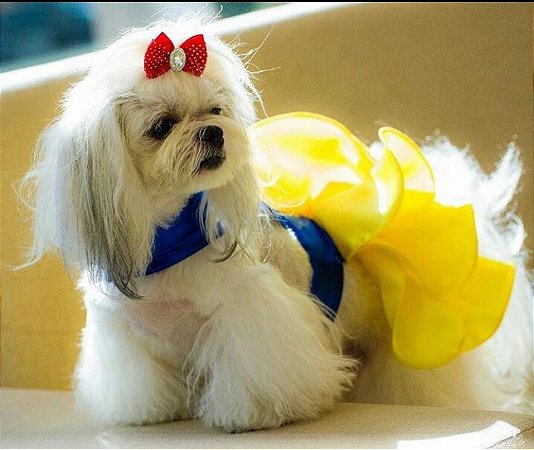 VESTIDO BRANCA DE NEVE SAIA BABADO