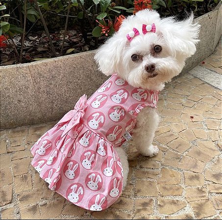 Vestido coelha