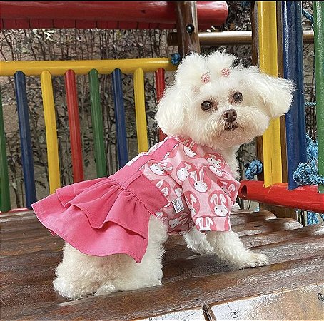 Saia c/ blusa coelha Rosa