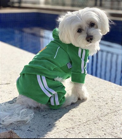Esportivo 4 patas