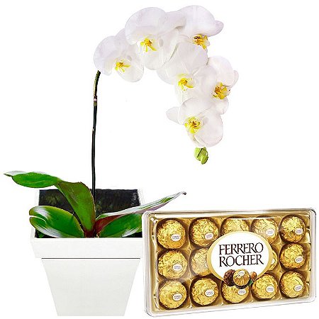 Orquídea Phalaenopsis e  Ferrero Rocher