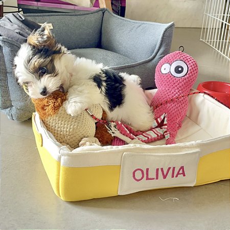 Cesto organizador para pets