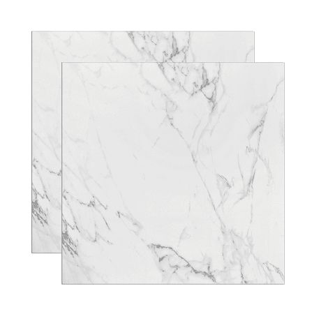 PORC.INC.LM CARRARA MC 120X120 2,85