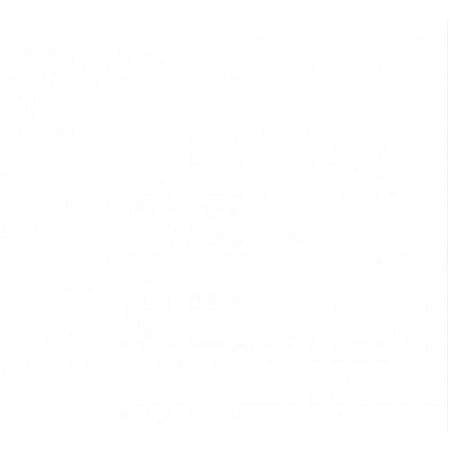 PORC.ELIZ.WHITE NAT.ESC.HD 101X101 CX  2,02