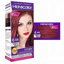 HIDRAN-HIDRACOLOR KIT -6.66 LOURO ESCURO VERMELHO 100ML