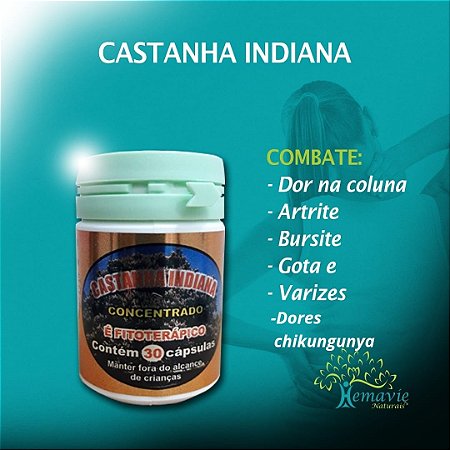 CASTANHA INDIANA ATACADO 24 UNID