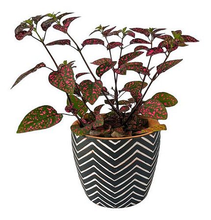 Cachepot Para Plantas De Cerâmica Preto Zig Zag 8 Cm