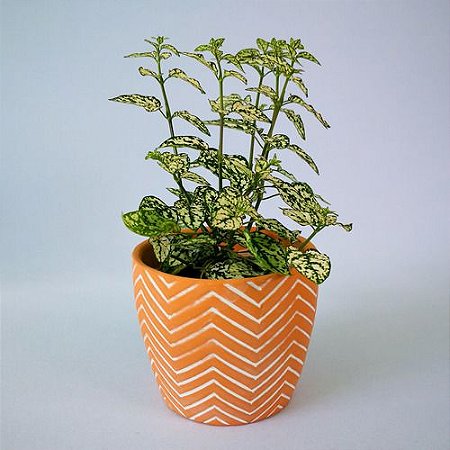 Cachepot Para Plantas De Cerâmica Terracota Zig Zag 8 Cm