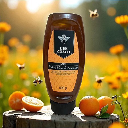 BISNAGA DE MEL DE FLORES DE LARANJEIRA - 500g - 100% MEL PURO