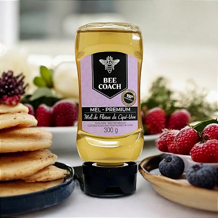 BISNAGA DE MEL DE FLORES DE CIPÓ-UVA - 300g  - 100% MEL PURO