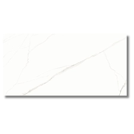 Porcelanato Statuario Acetinado 62x121 AR12187 Damme