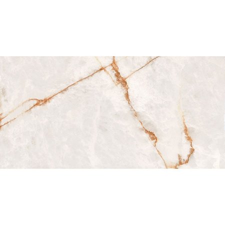 Porcelanato Iris Polido 61x120 PR12202 Damme