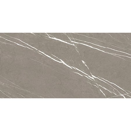 Porcelanato Armani Fendi Polido 61x120 PR12204 Damme