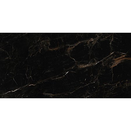 Porcelanato Michelangelo Polido 61x120 PR12186 Damme