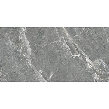 Porcelanato Venato Grigio Polido 61x120 PR12242 Damme
