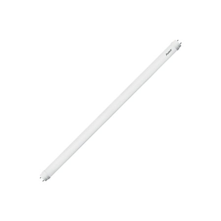 Lâmpada Led Tubular de Vidro T8 18W 6500K Avant