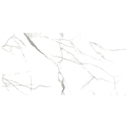 Porcelanato Carrara Cristal-R53 Polido 53x106CM Retificado Delta