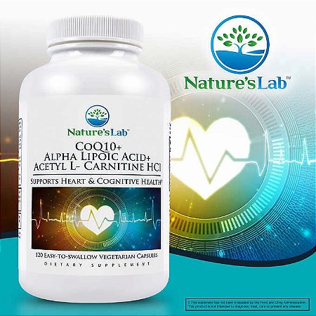 próstata de acetil carnitina