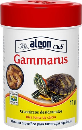 Alcon Gammarus