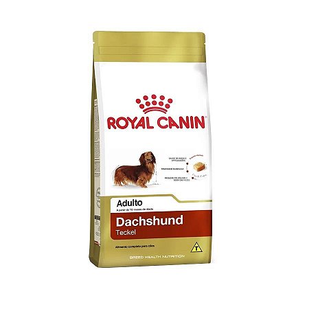 Royal Canin Cães Adultos Dachshund