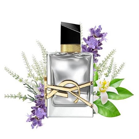 PLATINY (Libre Absolu Platine - YSL) - 15ml