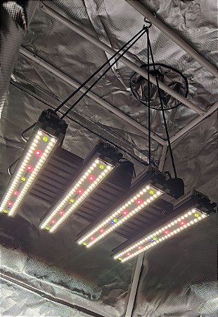 Quantum Board Quattro EVO