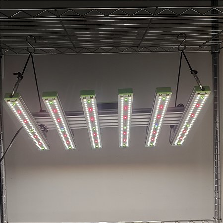 Quantum BAR Hexa EVO