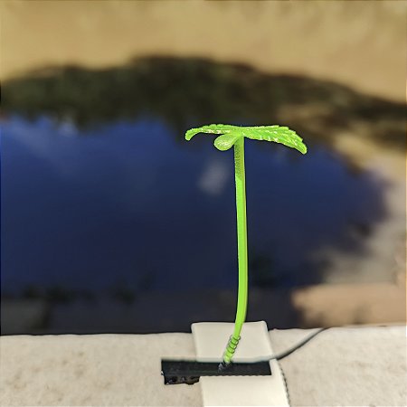 20x Presilhas planta plantinha plantula