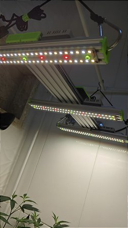 Quantum Bar TRI Space lm301h EVO