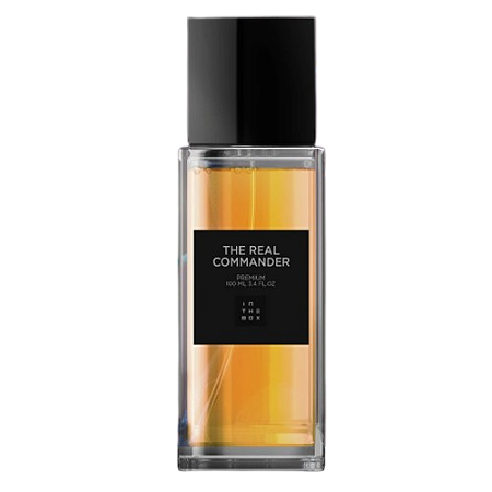 The Real Commander de In The Box | Stronger With You Intensely |
