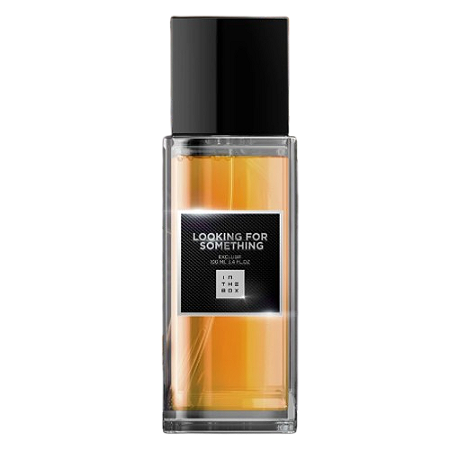 Looking For Something de In The Box | Search |