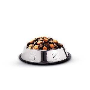 Comedouro Inox Pata Relevo Filhote 240 Ml