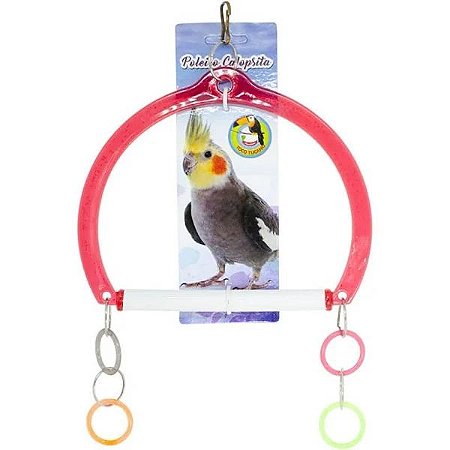 Argola P/Calopsita Toco Tucano
