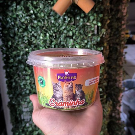Graminha Para Gatos 120g Profeline 1 Und