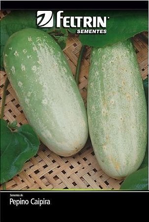 Semente Pepino Esmeralda Tipo Caipira 1g